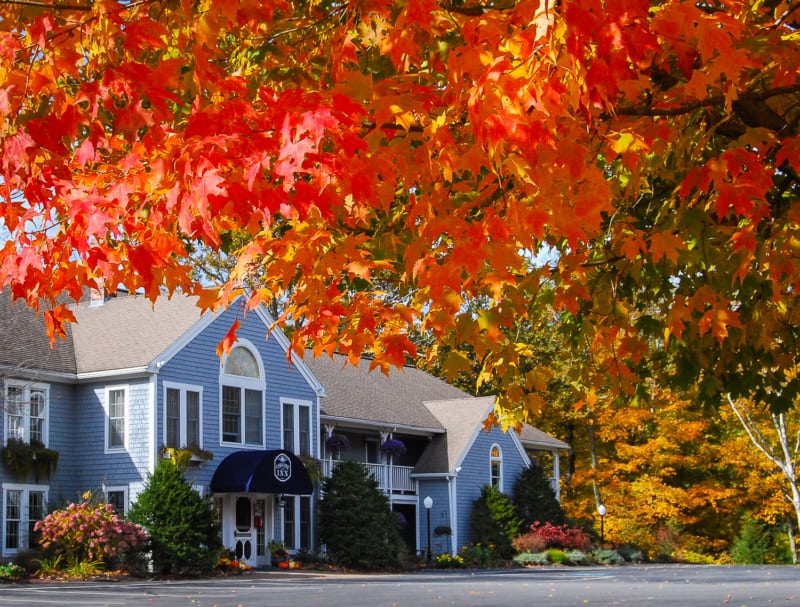 Cod Cove Inn_Fall Color Cod Cove Inn with trees surrounding it in fall colors.