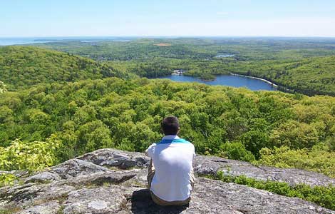 Person sitting on a bluff overlooking a forest and lake below